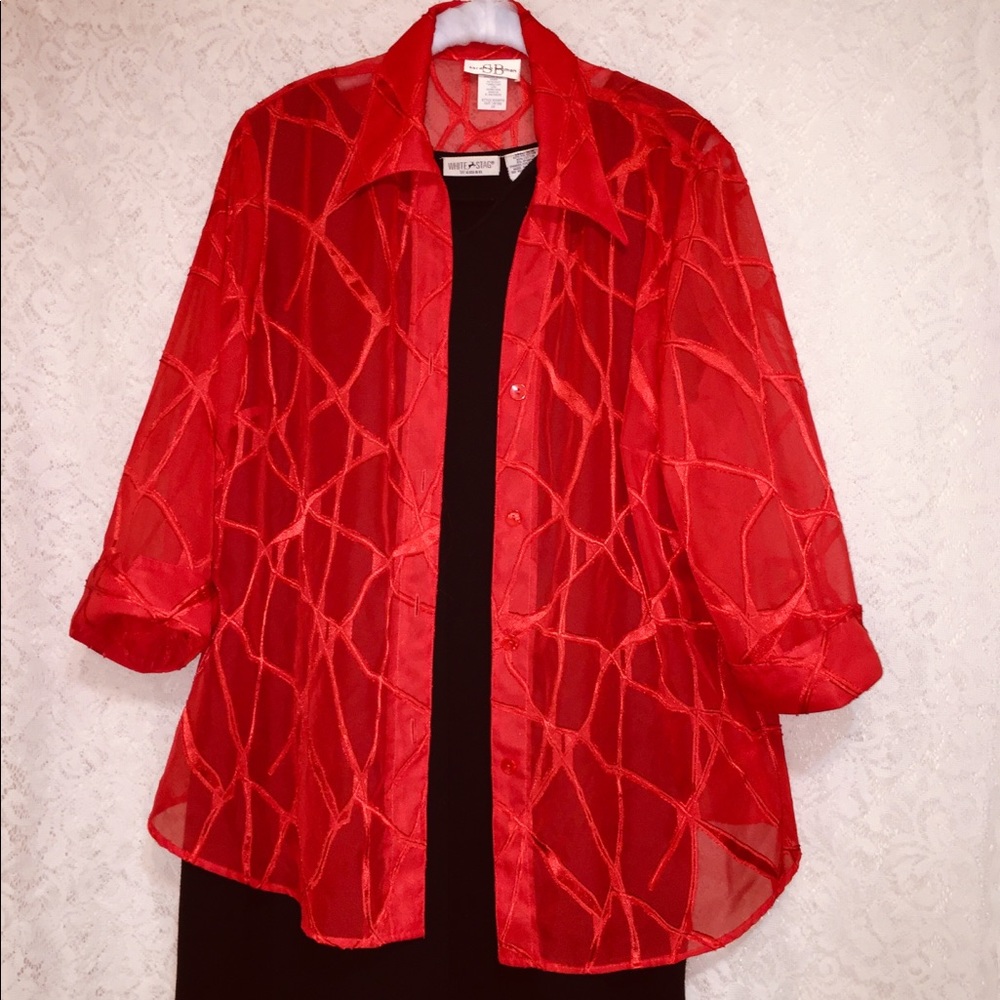Bundle 3 sheer button up over shirts